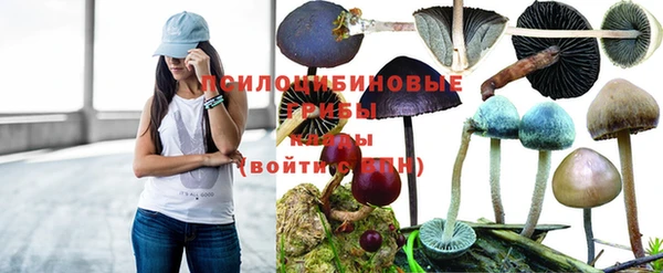 мескалин Армянск